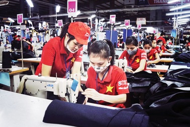 Cải cách "lịch sử": Chính phủ muốn cắt phăng một nửa điều kiện kinh doanh