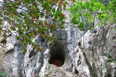 Đà Nẵng: Kỷ luật hướng dẫn viên nhổ nước bọt vào người du khách