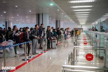 Đề xuất tích hợp thông báo tạm hoãn xuất cảnh người nợ thuế trên VNeID