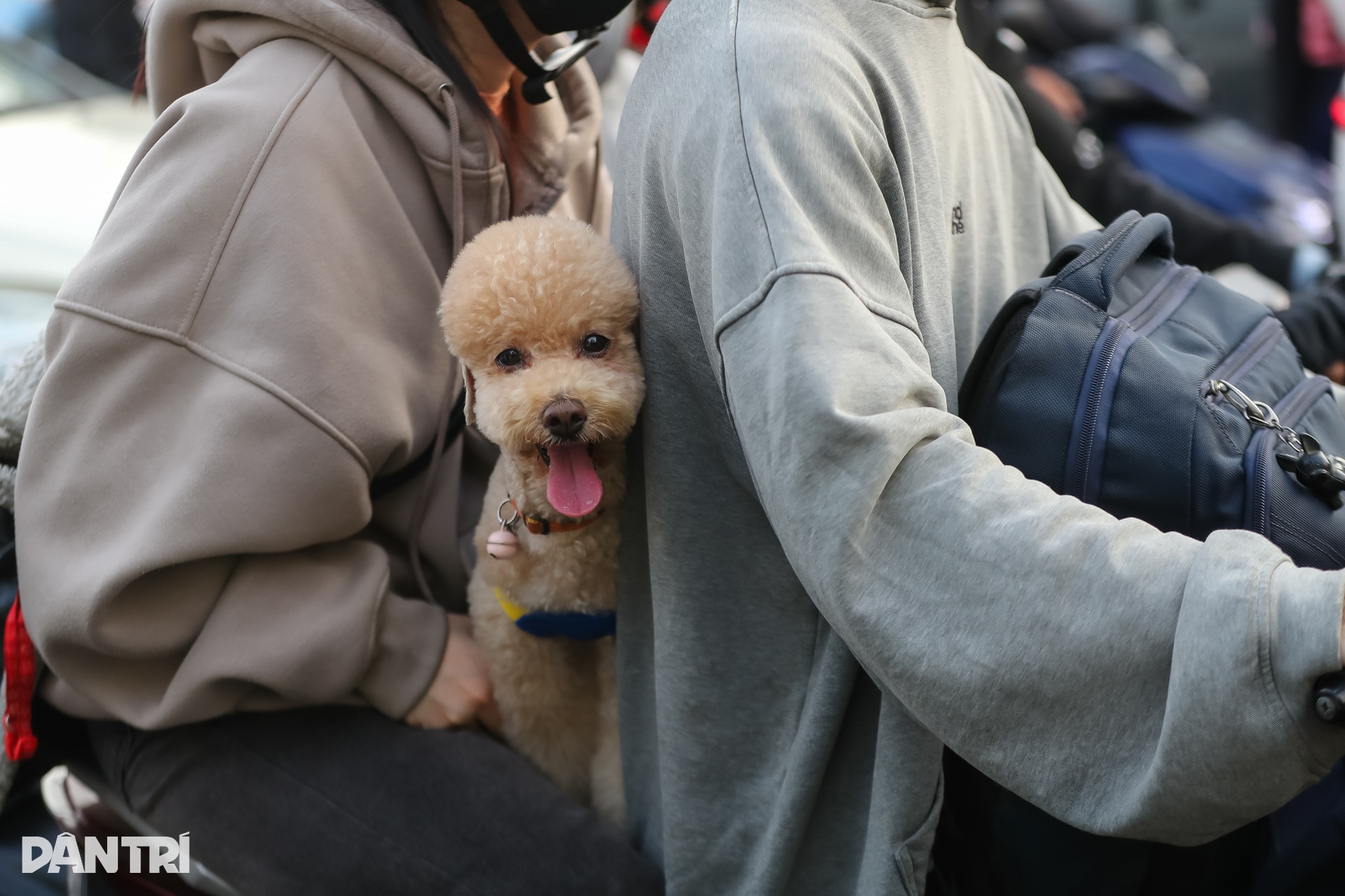 Người dân ngủ gục trên xe vì phà Cát Lái ùn tắc nhiều giờ liền - 7 Người dân ngủ gục trên xe vì phà Cát Lái ùn tắc nhiều giờ liền - 7
