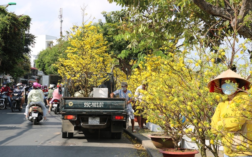 Chợ 29 Tết, mua nhanh, bán lẹ, hối hả đưa xuân về nhà - 5 Chợ 29 Tết, mua nhanh, bán lẹ, hối hả đưa xuân về nhà - 5