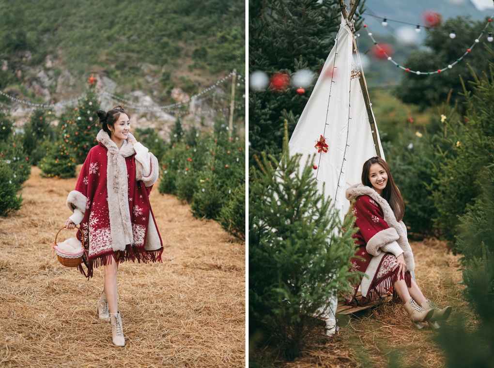 Vườn thông gần 2.000 gốc, khách đổ xô check-in ở Mộc Châu - 5 Vườn thông gần 2.000 gốc, khách đổ xô check-in ở Mộc Châu - 5