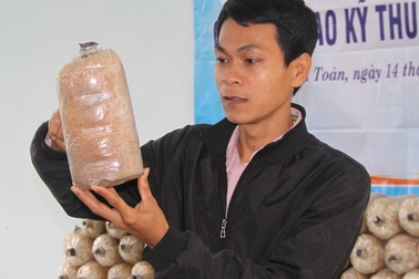 Dạy trồng nấm sò cho thanh niên ở "cổng trời" An Toàn