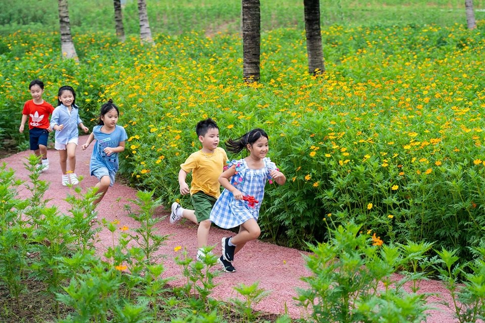 Phát “sốt” với những con đường hoa đẹp như trời Tây ngay gần Hà Nội - 10 Phát “sốt” với những con đường hoa đẹp như trời Tây ngay gần Hà Nội - 10