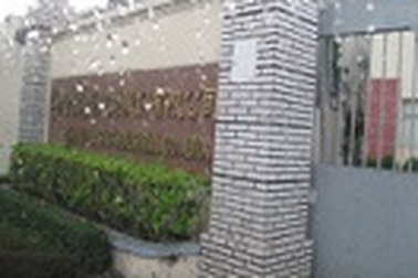 Thanh tra tình hình sử dụng phần mềm bất hợp pháp vẫn "rộn ràng” 