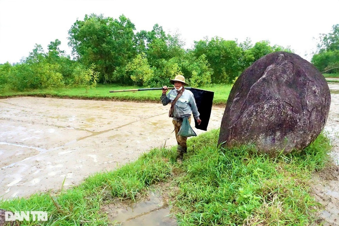 Theo chân thợ săn cào cào, châu chấu đỉnh có tiếng ở Đà thành - 8 Theo chân thợ săn cào cào, châu chấu đỉnh có tiếng ở Đà thành - 8