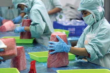 Doanh nghiệp tư nhân than cơ quan công quyền còn "tuỳ nghi, vòi vĩnh"