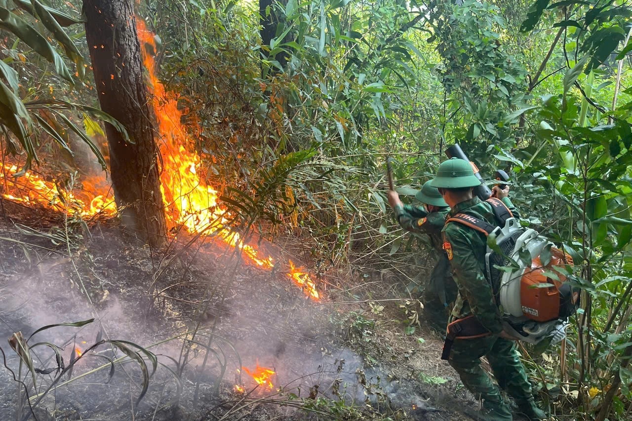 Cháy rừng ở đèo Ngang, nghi do đốt ong - 1