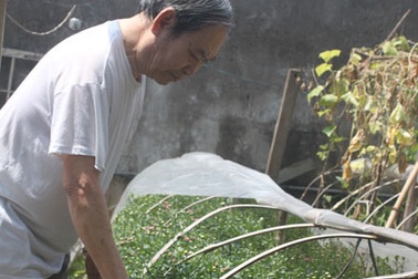 Chuyện ông già bảo thủ nhất làng hoa sống chật vật trên núi tiền