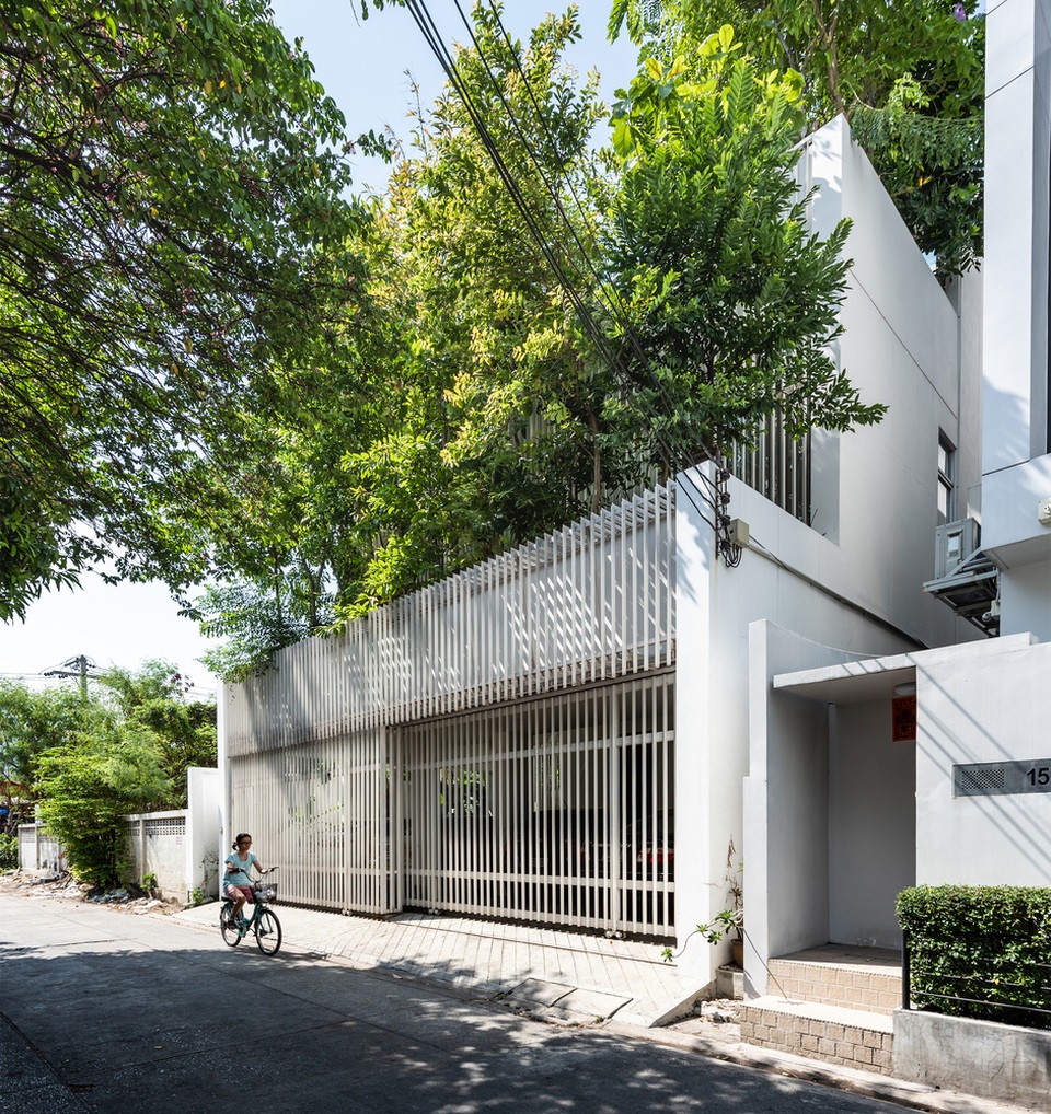 Độc đáo nhà trồng hơn 100 loại cây xanh, vào bên trong như rừng nhiệt đới - 1