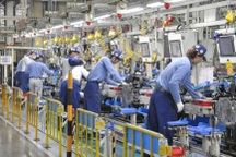 Áp dụng biện pháp hạn chế thực tập sinh Việt Nam bỏ trốn tại Nhật Bản