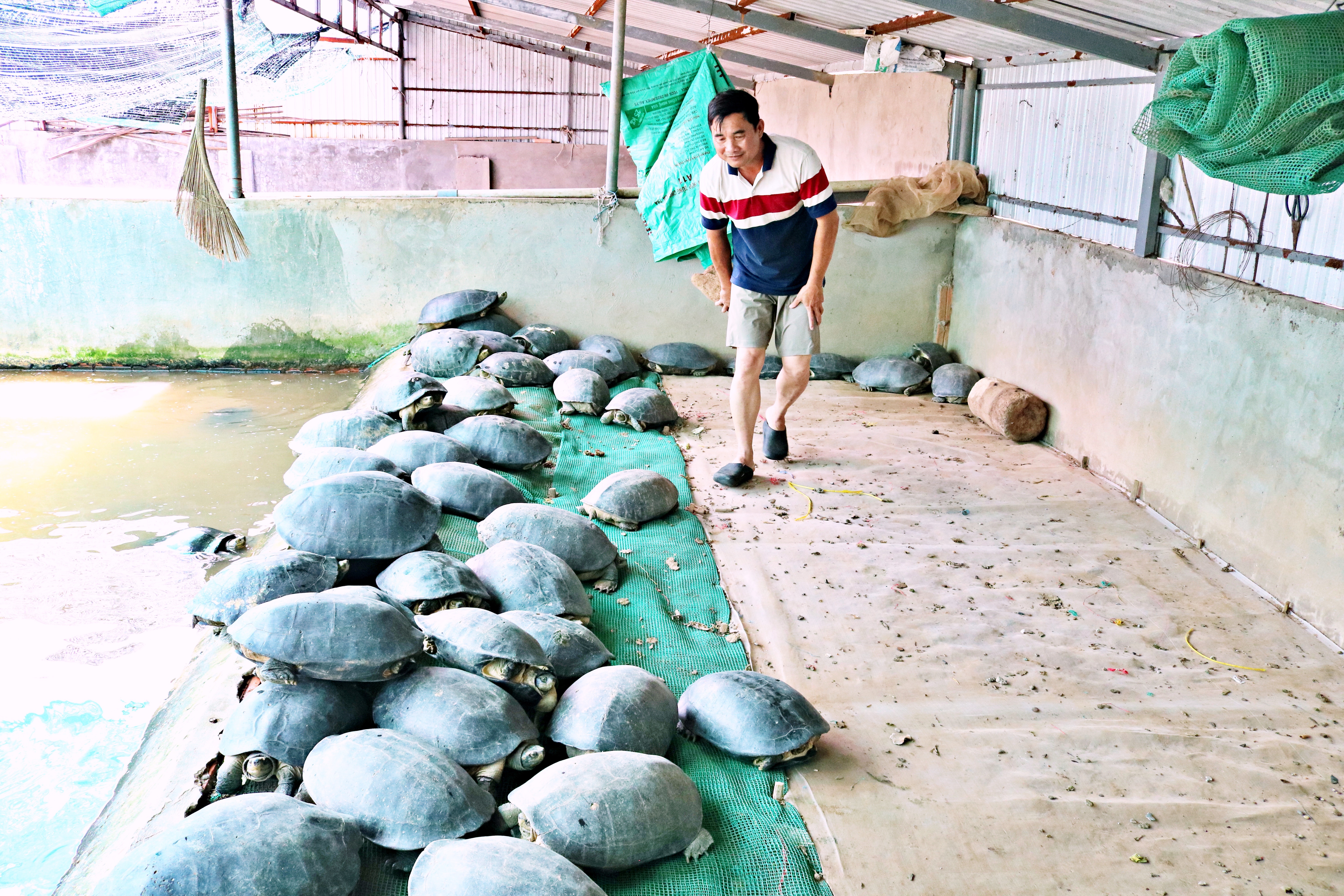 Thượng tá công an với nghề tay trái, thu lãi tiền tỷ mỗi năm Thượng tá công an với nghề tay trái, thu lãi tiền tỷ mỗi năm