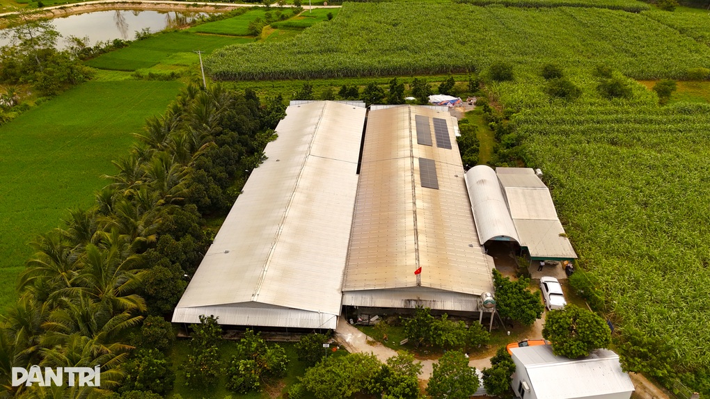 Khởi nghiệp với chuồng gà 5 triệu đồng, người đàn ông có nguồn thu chục tỷ - 1