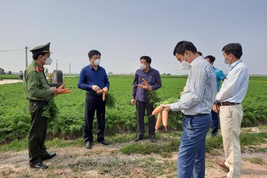 Tấm thẻ ra đồng mùa Covid và nỗi lo mùa vụ cho nông dân