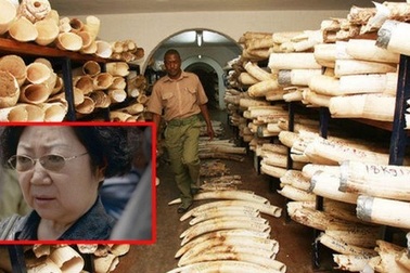 Tanzania bắt “nữ vương ngà voi” Trung Quốc