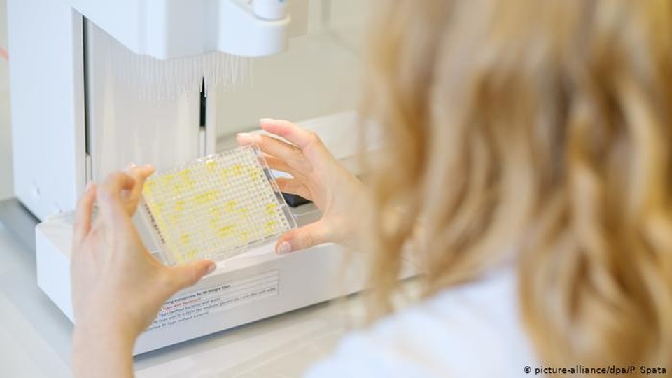 Hệ miễn dịch chống lại virus corona như thế nào? - 4 Hệ miễn dịch chống lại virus corona như thế nào? - 4