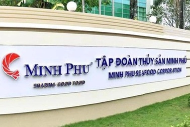 Năm thụt lùi của "vua tôm", tiền mặt vơi đi cả nghìn tỷ đồng