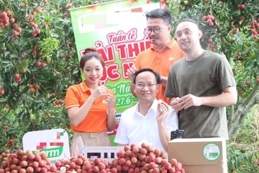 Đặc sản địa phương muốn vào EU, Mỹ phải đạt chuẩn xanh, bền vững