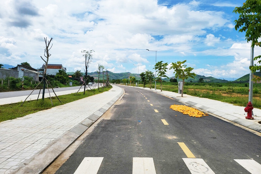 Người đàn ông ở TPHCM đấu giá trúng 16 lô đất rồi “bỏ của chạy lấy người” - 1