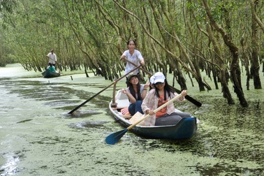 Thưởng ngoạn mùa vàng, ngập tràn ưu đãi