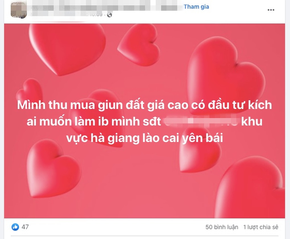 Giun đất có tác dụng gì mà được thương lái ồ ạt thu mua? - 1 Giun đất có tác dụng gì mà được thương lái ồ ạt thu mua? - 1
