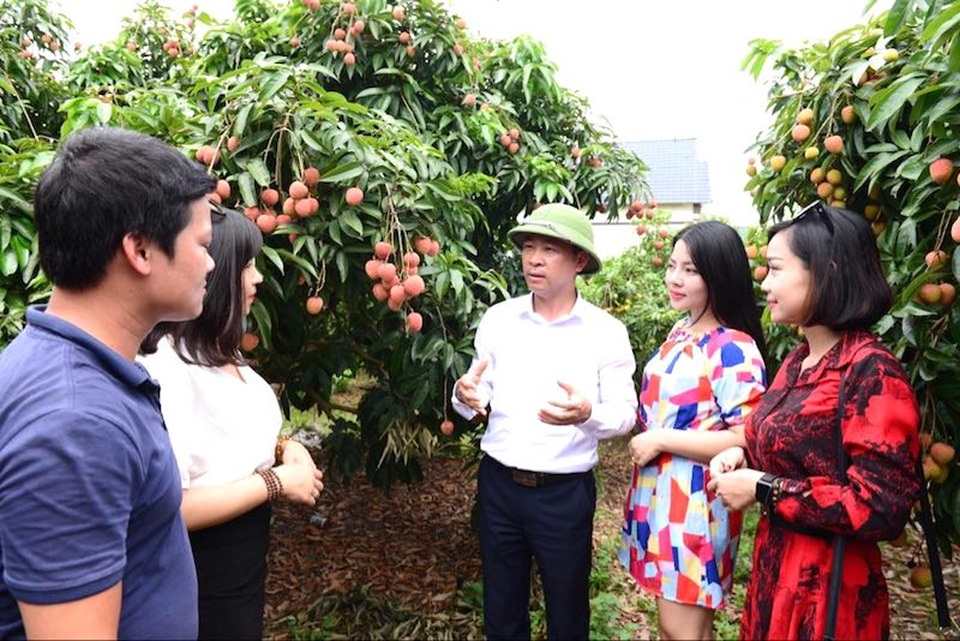 Hút chết trong cuộc “đánh vật” vượt quốc lộ 31 vào thủ phủ vải thiều - 5 Hút chết trong cuộc “đánh vật” vượt quốc lộ 31 vào thủ phủ vải thiều - 5