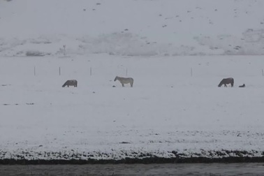 Bão tuyết bất ngờ xuất hiện giữa mùa hè ở Trung Quốc