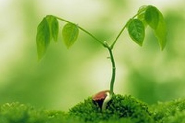 Bộ sưu tập giao diện đẹp dành cho Windows (Phần 5)