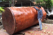 Bí ẩn khúc gỗ dài 3 mét, đại gia Hải Phòng trả giá gần 4 tỷ đồng