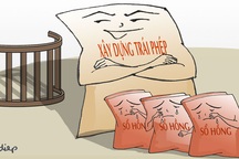 Dừng thu hồi sổ đỏ là đúng pháp luật, hợp lòng dân!