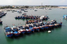 Thiết bị nghề cá “xịn” giúp ngư dân Lý Sơn “trúng mẻ lớn”