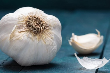 Mối liên quan giữa tỏi và HIV?