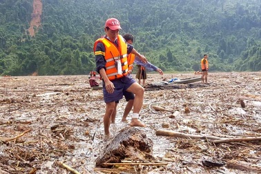 Bãi gỗ "khổng lồ" sau lũ: Gỗ quý hay củi rác?