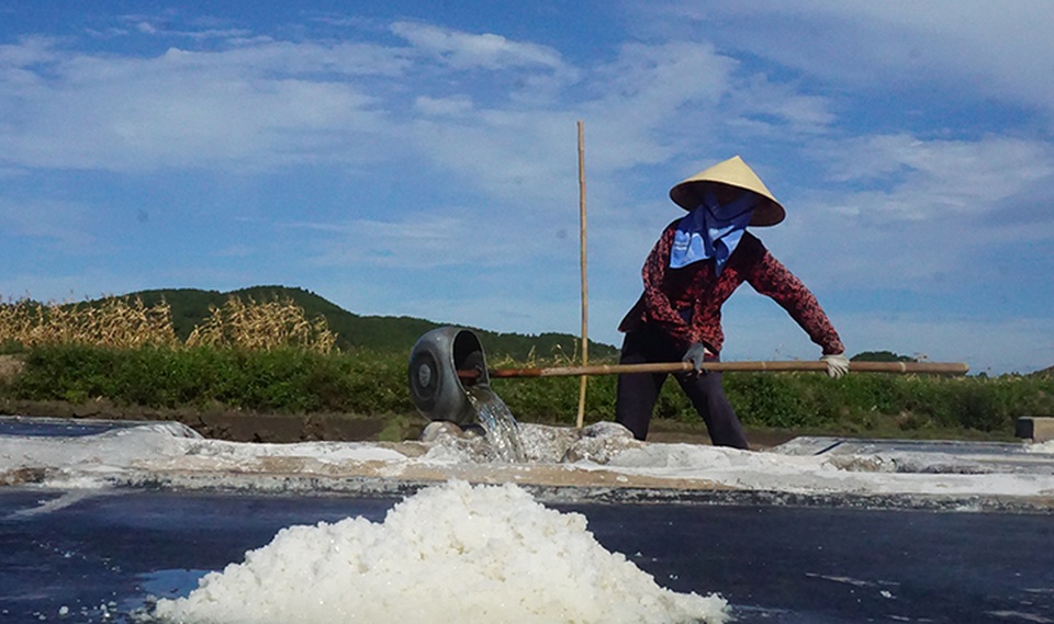 Muối trắng lấp lánh giữa nắng hè mà diêm dân tính ... bỏ nghề - 6 Muối trắng lấp lánh giữa nắng hè mà diêm dân tính ... bỏ nghề - 6