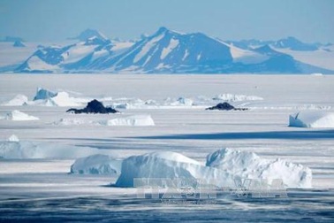Tìm ra nguyên nhân diện tích băng ở Nam Cực giảm kỷ lục