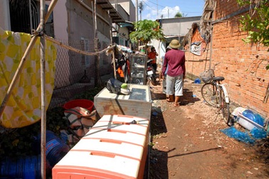 Khu dân cư di tản khẩn cấp vì bãi cỏ bốc cháy dữ dội