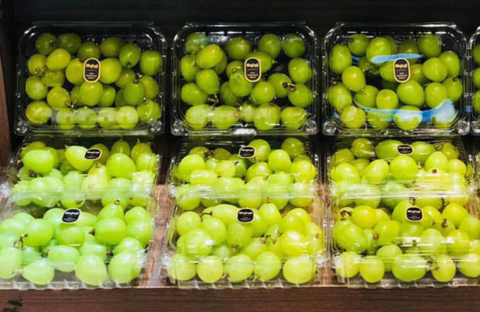 Nho rụng lìa cành, giá 1 triệu đồng/kg vẫn tranh nhau mua - 1 Nho rụng lìa cành, giá 1 triệu đồng/kg vẫn tranh nhau mua - 1