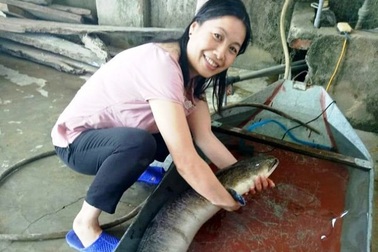 Gần một giờ vật lộn với cá lệch "khủng" dài 1,6 m