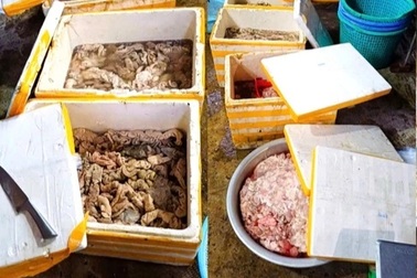 Đà Nẵng xử phạt cơ sở kinh doanh gần 3,5 tấn lòng heo, bò trôi nổi
