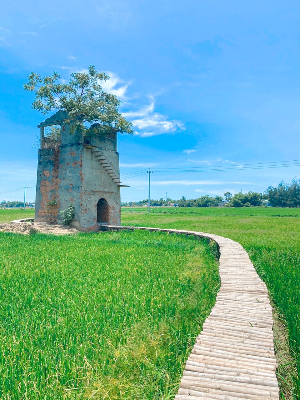 Giới trẻ đổi gió tìm về lò gạch cũ đẹp như tranh vẽ gần Hội An - 1 Giới trẻ đổi gió tìm về lò gạch cũ đẹp như tranh vẽ gần Hội An - 1