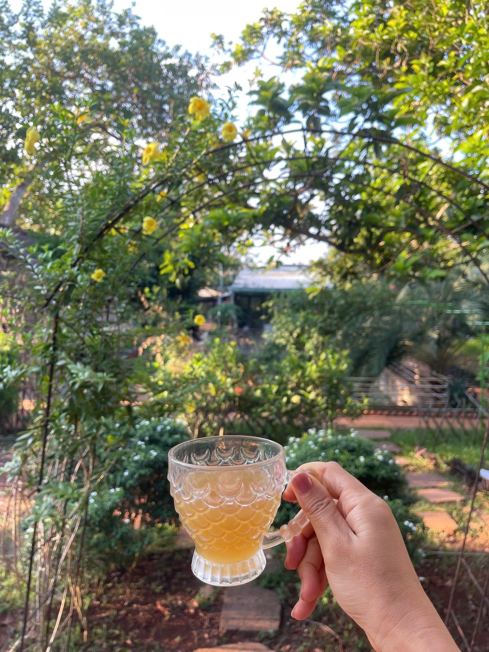 Vợ chồng bán nhà Hà Nội 10 tỷ đồng về Vũng Tàu làm nhà vườn trốn khói bụi - 5