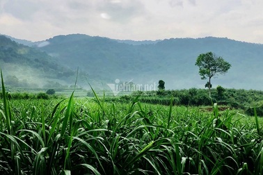 Mang tiền về quê tích "của để dành", ai ngờ trúng lớn lãi gấp đôi