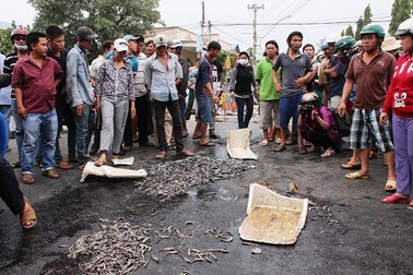 Vụ đổ tôm, cá chết trước trụ sở UBND phường: “Mời dân chứng kiến việc lấy mẫu giám định”