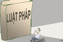 Trịnh Xuân Thanh, “anh ở nơi nào” và “lưới giời lồng lộng”!