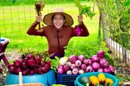 Cô gái Việt trồng rau, làm vườn 100m2 trên đất Mỹ để đỡ nhớ nhà