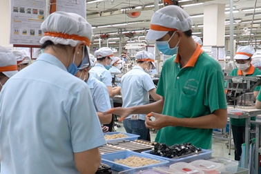 Đơn hàng giảm mạnh, doanh nghiệp vẫn chi chục tỷ thưởng lễ 2/9