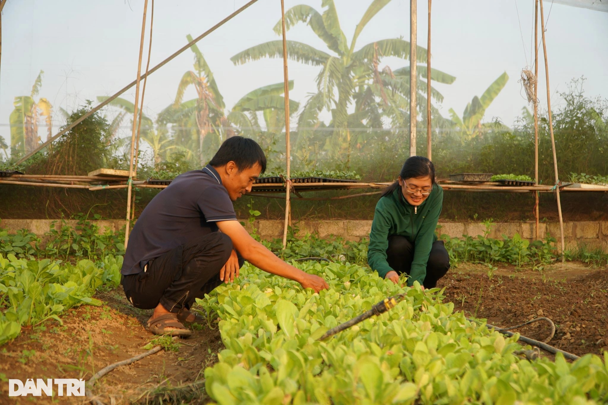 Cặp vợ chồng suýt bị bố mẹ từ mặt vì bỏ phố về quê làm nông nghiệp sạch - 4