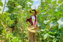 Cô gái bỏ nhà phố, xe sang ở Sài Gòn về quê cuốc đất làm nông dân