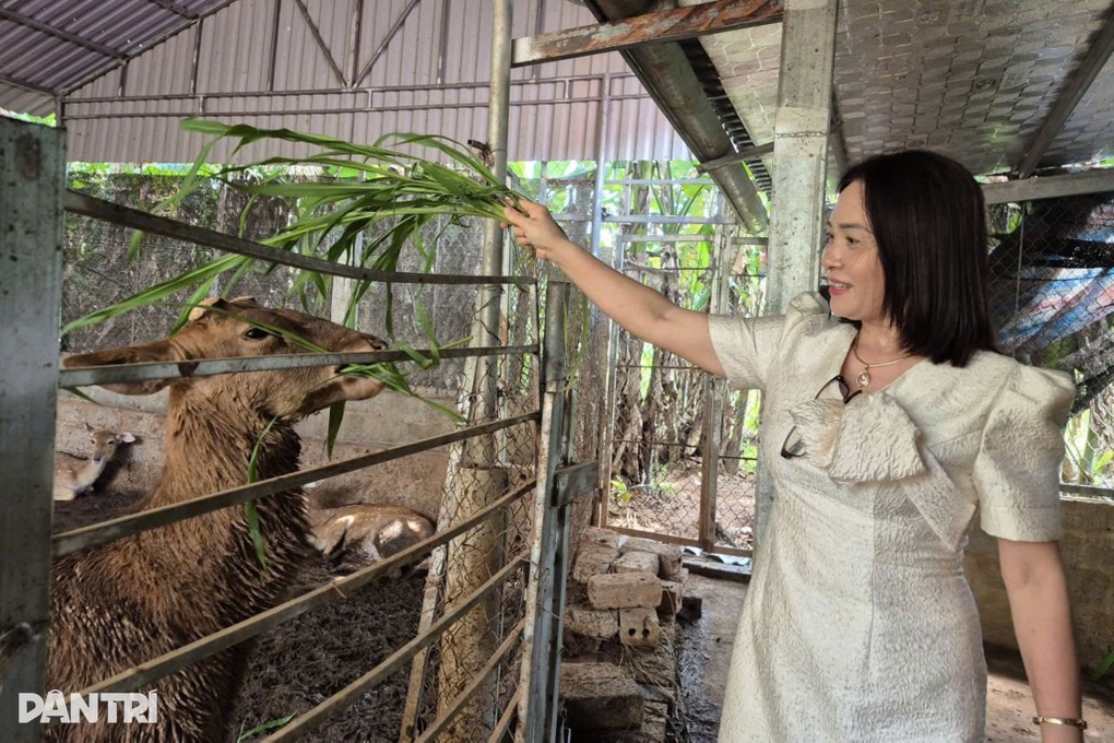 خاتون ٹیچر اپنی سائڈ جاب سے سالانہ نصف بلین ڈونگ کماتی ہیں - 1