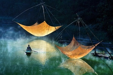 Nhiếp ảnh gia Việt Nam có ảnh lọt top giải ảnh môi trường thế giới